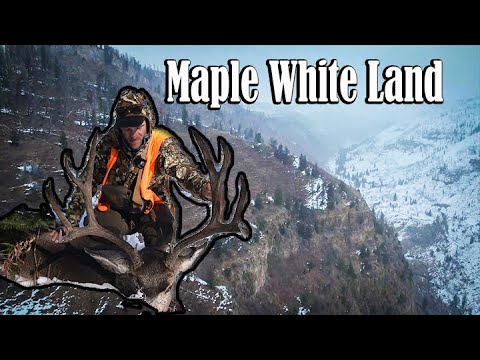 Видео: Я открываю ЗАТЕРЯННЫЙ МИР, полный больших оленей-мулов.