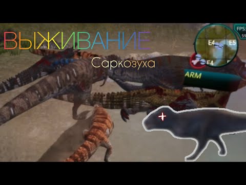 Видео: МЕГАПАК РЕКСОВ ПРОТИВ МЕГАПАК САРКОЗУХОВ || Выживание саркозуха || The cursed isle