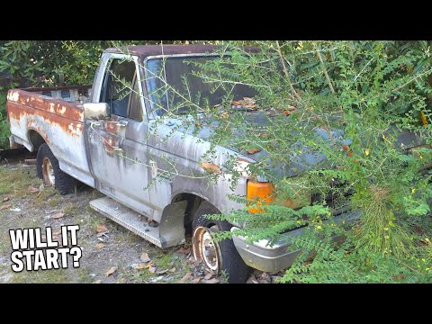 Видео: Брошенный грузовик, 30 лет бесплатно, один владелец! Заведётся ли?