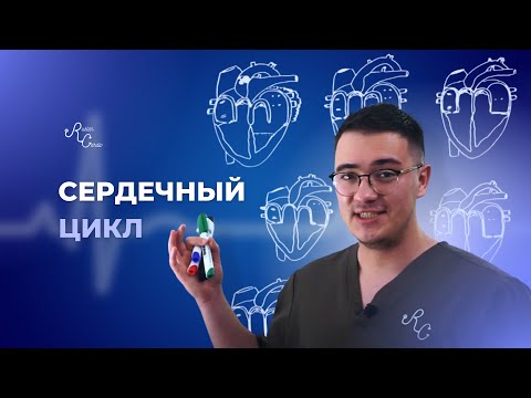 Видео: Сердечный цикл от А до Я