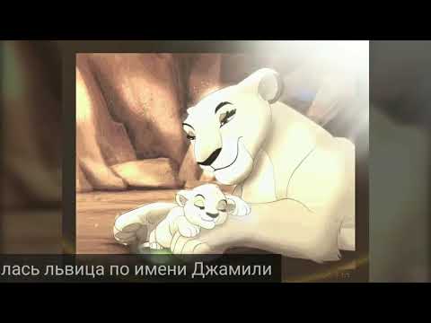 Видео: История Джамили (В описание)