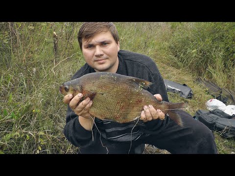 Видео: Ловля КРУПНОГО ЛЕЩА на фидер реке Дон. Такого КЛЕВА давно не видел!