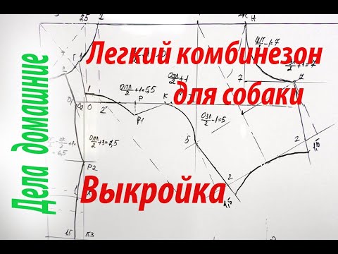 Видео: Как построить выкройку комбинезона для собаки. Повседневная одежда.