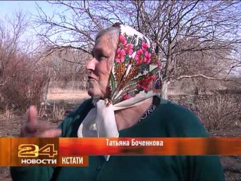 Видео: Нежданный соседи - аисты в нижегородской области