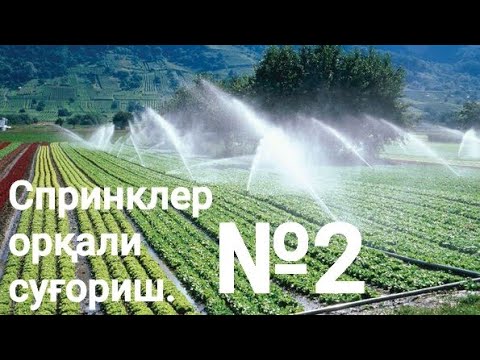 Видео: СПРИНКЛЕР- ёмғирлатиб суғориш тизими хақида агромаслахатлар №2