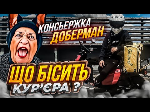 Видео: ЩО ДРАТУЄ КУР'ЄРА!!!!!