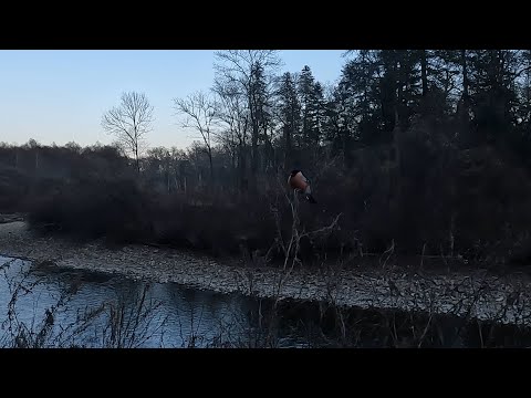 Видео: Приморский край. Осенний ленок.