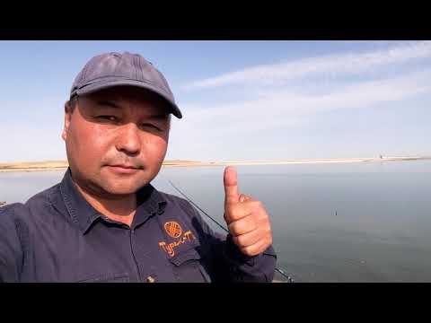 Видео: Рыбалка в ЧУ 00 20 00