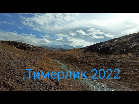 Видео: Тимерлик октябрь 2022