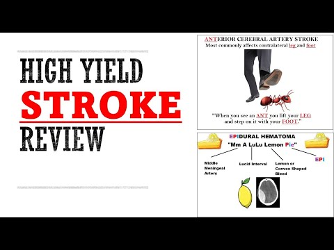 Видео: Обзор инсульта | Мнемоника и проверенные способы запоминания для экзаменов!