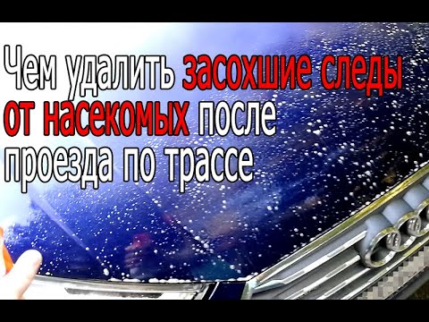 Видео: Чем удалить засохшие следы от насекомых после проезда по трассе