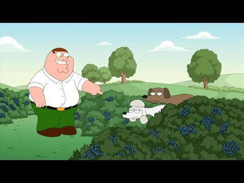 Видео: ★ Роботы Стьюи (Гриффины)