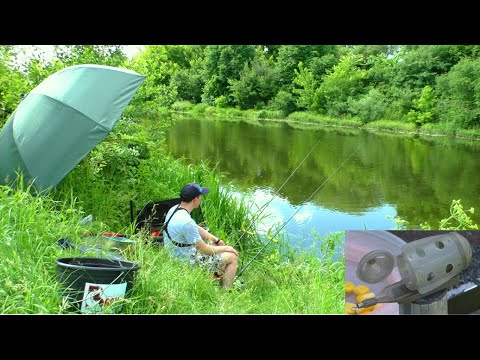 Видео: Вечірній кльов на Горині у червні 2025. Ловлю на прикормку КРИЛЬ!