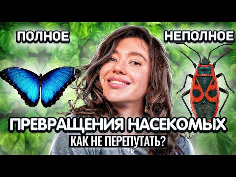 Видео: Запоминаем насекомых с полным и неполным превращением за 10 минут! Лайфхак для ЕГЭ и ОГЭ по биологии