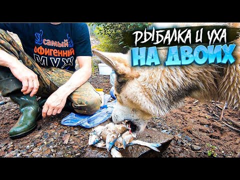 Видео: ТАЁЖНАЯ РЕЧКА.НАЛОВИЛ РЫБЫ.УХА НА ДВОИХ .РЫБАЛКА НА СПИННИНГ.