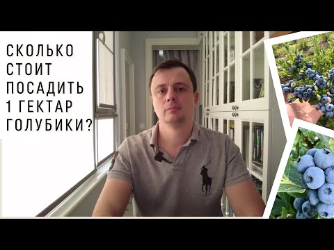 Видео: Стоимость посадки 1 гектара голубики в Подмосковье в 2021 году   HD 1080p