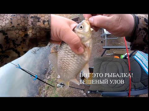 Видео: ВОТ ЭТО УЛОВ! Апрельская РЫБАЛКА в Новочеркасске. ОТДЫХ на берегу.