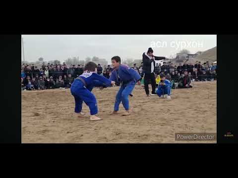 Видео: 5 ноября 2025 г.