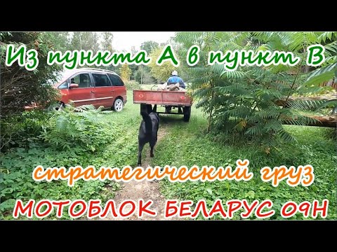 Видео: Перевозим на мотоблоке Беларус 09Н стратегические грузы.