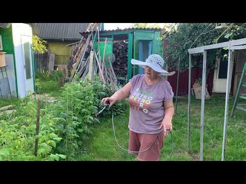 Видео: #Аккумуляторный опрыскиватель# просто чудо