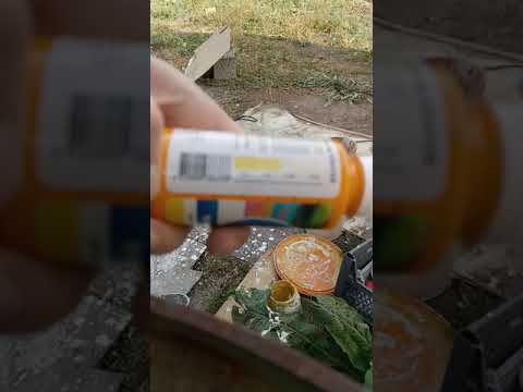 Видео: известковая цветная побелка стен , что бы не пачкалась часть 3