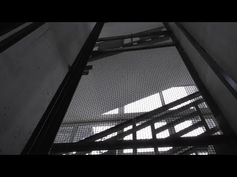 Видео: OTIS в сетке! Ставим фотореверс на необычный лифт