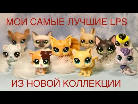 Видео: LPS / ТОП ЛЮБИМЫХ Lps из новой коллекции/ Lps new collection