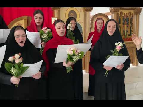 Видео: 6 мая 2025 г.