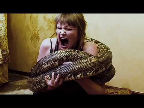 Видео: Самые СМЕРТЕЛЬНО ЯДОВИТЫЕ ЗМЕИ в Мире!