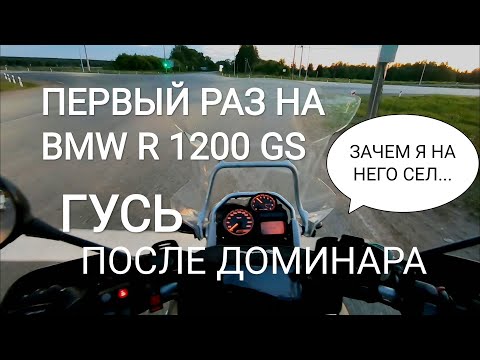 Видео: 🟢 ПЕРВЫЙ РАЗ НА ГУСЕ ПОСЛЕ ДОМИНАРА, BMW R1200GS, BAJAJ DOMINAR 400