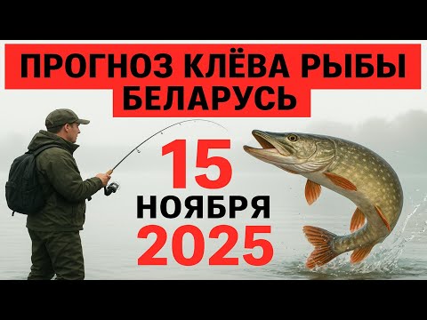 Видео: ПРОГНОЗ КЛЁВА в Беларуси на 15 ноября 2025 года: Готовимся к зимней сказке!