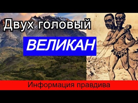 Видео: Двух головый великан из Патагонии.  Информация правдива. Мумия как доказательство.