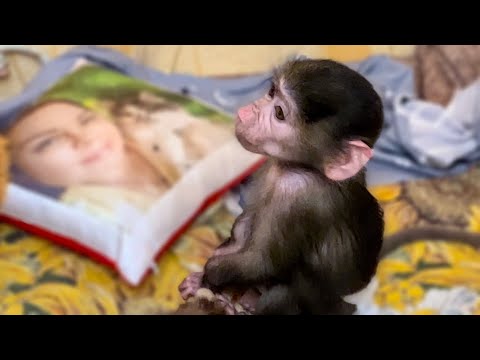 Видео: Люся на меня ОБИДЕЛАСЬ и даже не смотрит в мою сторону(((