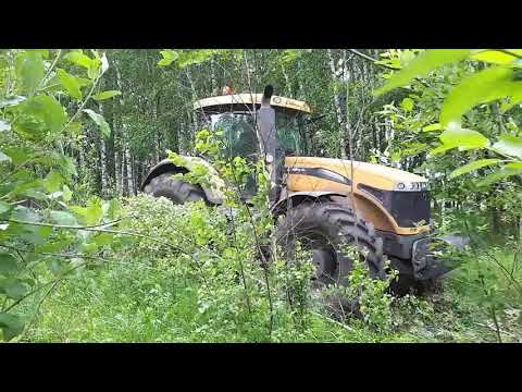 Видео: Очистка поля от березок.