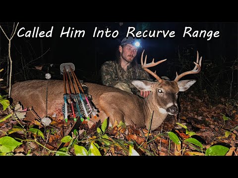 Видео: Вызываю самого крупного оленя-лука на сегодняшний день. Традиционная охота с луком в Вирджинии.