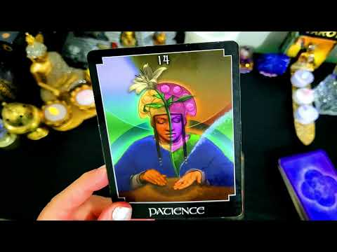 Видео: КОЗЕРОГ♑ НОЯБРЬ 2025⭐🎈О ВАУ💞💰🎈СУДИМ ДЛЯ ЭКСТРЕМАЛЬНОГО БОГАТСТВА, БОЛЬШИХ ДЕНЬГ И ВТОРОЙ ПОЛОВИНЫ💞⭐💰