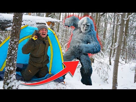 Видео: Отправились в жуткий лес, где живет снежный человек, чтобы выжить!