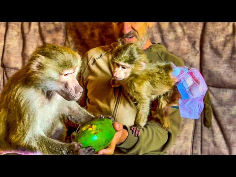 Видео: Люська ни в какую НЕ ХОТЕЛА ИДТИ БЕЗ Елисея в гости к Анфисе, но мы ее УГОВОРИЛИ!))