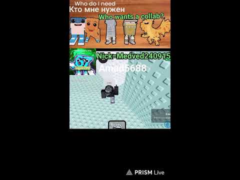 Видео: Прямая трансляция MaxYes