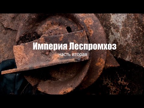 Видео: Империя Леспромхоз часть 2