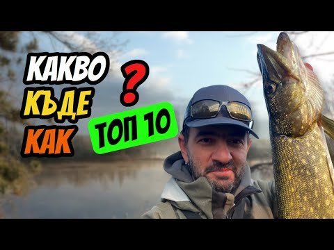 Видео: ТОП 10 НЕЩА за УСПЕШЕН РИБОЛОВ през ЕСЕНТА и ЗИМАТА!