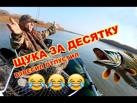 Видео: Осенний выезд на жор щуки. Север области.