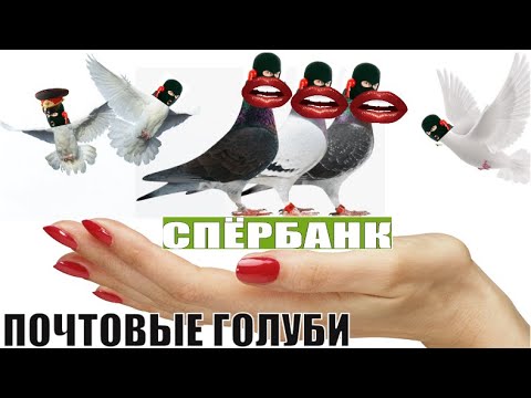 Видео: ✅ К Ольге Борисовне прилетели почтовые голуби из спЁрбанка / мошенники звонят по телефону