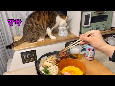 Видео: Кошка и напиток на стоянке в холодную ночь.