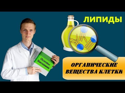Видео: Липиды (жиры): строение, классификация, биологическая роль и функции | БИОХИМИЯ | БИОЛОГИЯ | ХИМИЯ