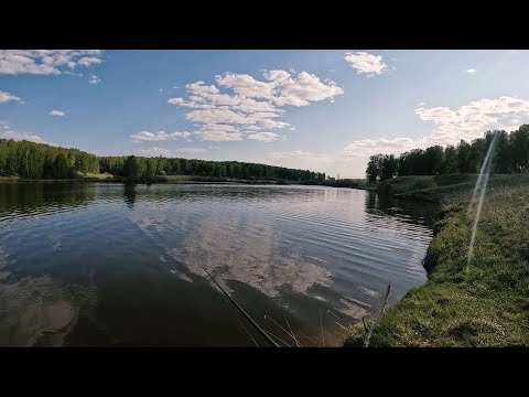 Видео: Взял Микроджиг на новую точку! Рыбалка на ультралайт спиннинг.
