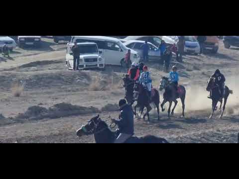 Видео: Бышты Жорго 23 02 2025 Тоң