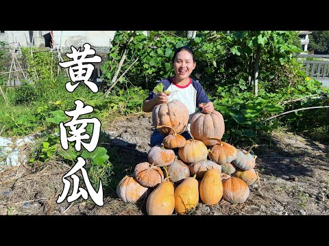 Видео: Богатый урожай старых тыкв, из которых получился горшочек золотистых тыквенных булочек.