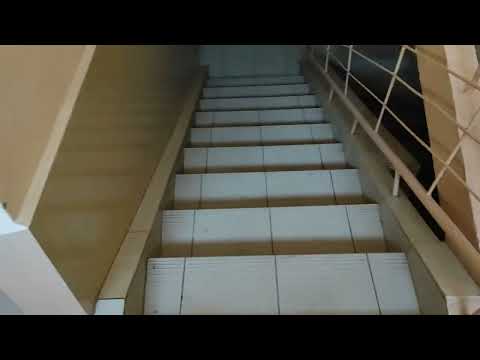 Видео: гул подъездов