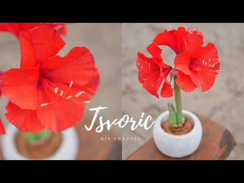 Видео: Paper amaryllis / АМАРИЛЛИС из бумаги / DIY TSVORIC